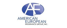 American European Insurance Group